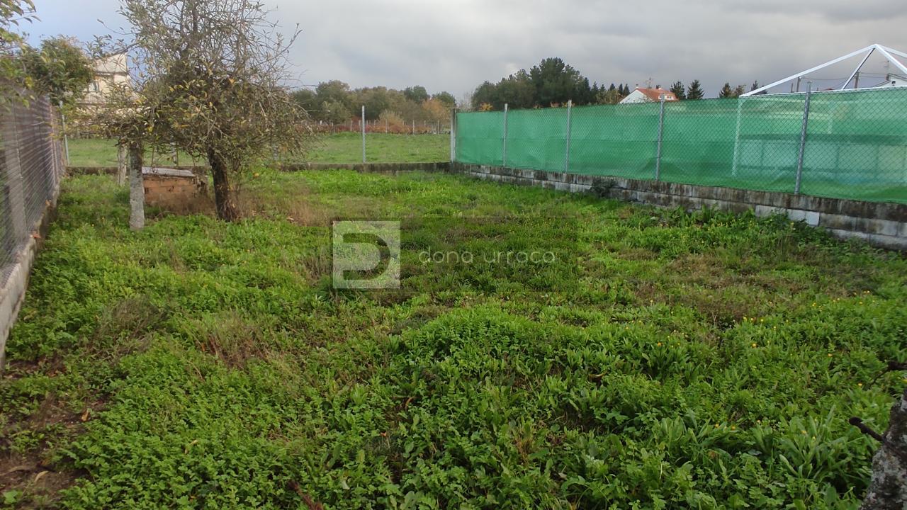 finca